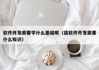 软件开发需要学什么基础呢（搞软件开发需要什么知识）