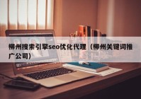 柳州搜索引擎seo优化代理（柳州关键词推广公司）