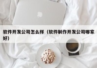 软件开发公司怎么样（软件制作开发公司哪家好）