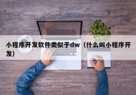 小程序开发软件类似于dw（什么叫小程序开发）